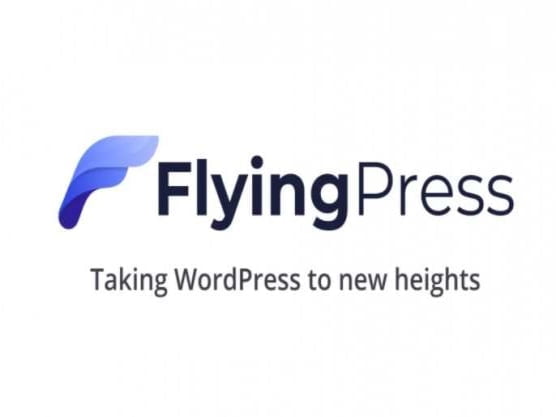 Plugin FlyingPress - Taking WordPress To New Heights