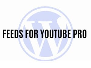 Plugin Feeds for YouTube Pro