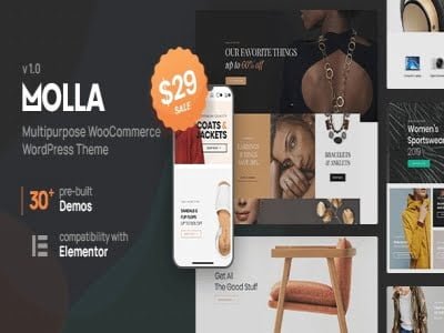 Theme Molla - Multi-Purpose WooCommerce Theme Theme Molla - Multi-Purpose WooCommerce Theme