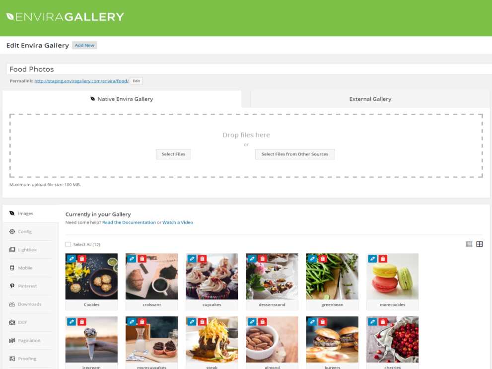 Plugin Envira Gallery Pro + Add-ons Plugin Envira Gallery Pro + Add-ons