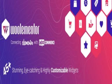 Plugin CoDesigner Pro (Formerly Woolementor Pro) Plugin CoDesigner Pro (Formerly Woolementor Pro)