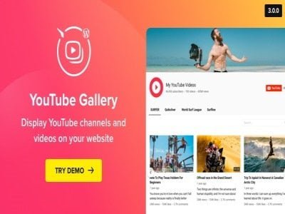 Plugin Elfsight YouTube Gallery - WP YouTube Plugin Elfsight Youtube Gallery - WP YouTube
