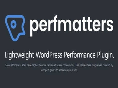 Plugin Perfmatters – Lightweight WordPress Performance Plugin Plugin Perfmatters – Lightweight WordPress Performance Plugin