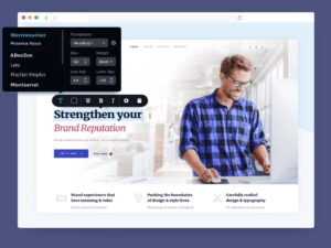 Plugin Brizy Pro