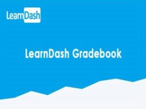Plugin Learndash Gradebook by Real Big Plugins