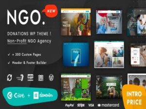 Theme NGO - Charity Donation WP