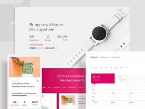 Plugin WP Crowdfunding Pro Wordpress Plugin