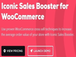 Plugin Iconic Sales Booster for WooCommerce