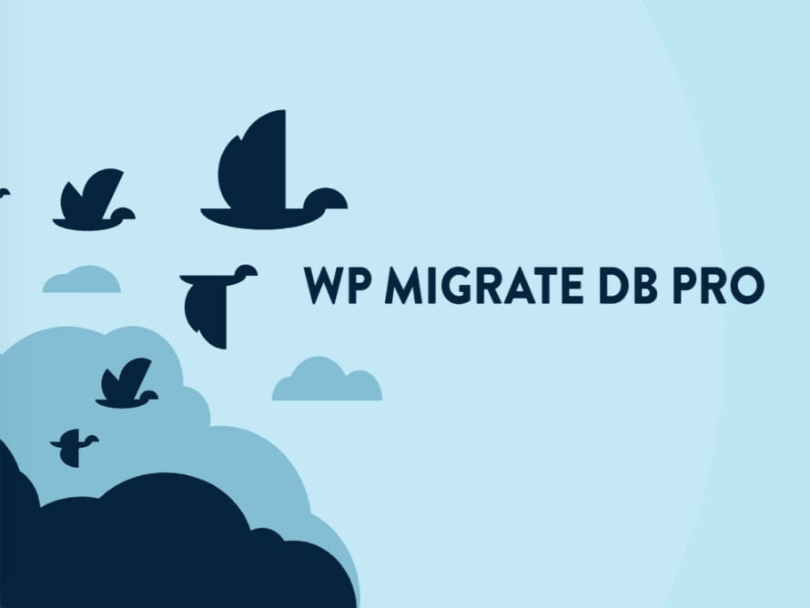 Plugin WP Migrate DB Pro + Addons