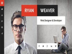 Theme Divergent Personal Vcard Resume WordPress Theme