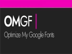 Plugin OMGF Pro Host Google Fonts Locally for WordPress