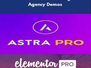 Plugin Astra Pro + Elementor Pro + Über 200 Demos + Astra Premium Sites