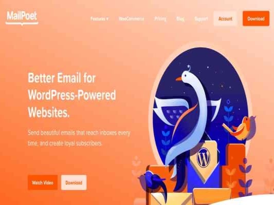 Plugin MailPoet Premium Plugin MailPoet Premium