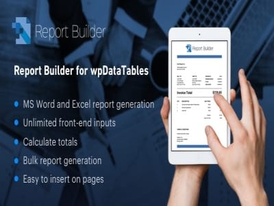 Plugin Report Builder for wpDataTables Plugin Report Builder for wpDataTables