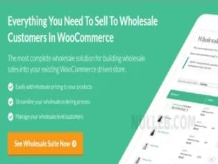 Plugin Wholesale Prices Premium WooCommerce Plugin Wholesale Prices Premium WooCommerce