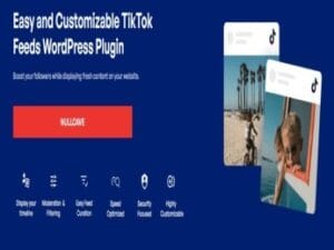 Plugin TikTok Feeds Pro Elite