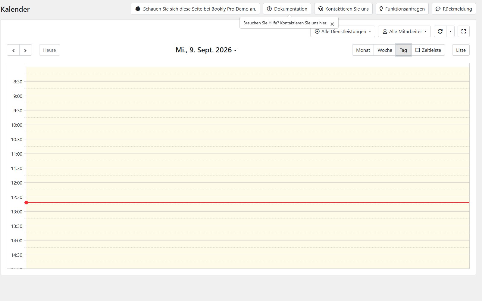 Plugin Bookly Pro Terminkalender von Bookly Pro in der Tagesansicht mit Filtern für Dienstleistungen und Mitarbeiter sowie einem Umschalter für die Ansichten Monat, Woche, Tag und Liste.